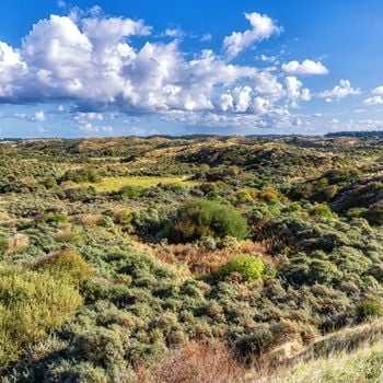 Vakantieparken in Zandvoort