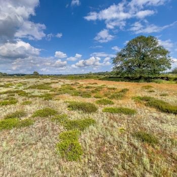 Vakantieparken in Westerbork