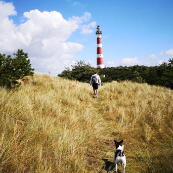 Vakantieparken op Ameland