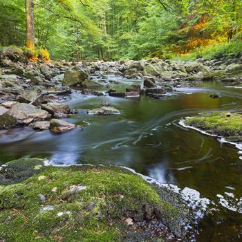 Vakantie in de Belgische Ardennen