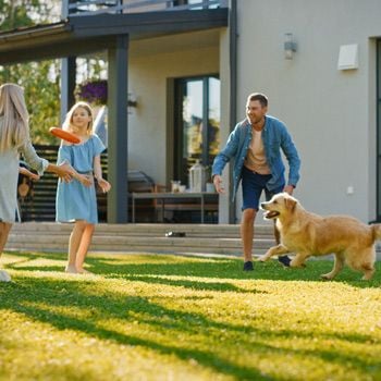 Vakantieparken met hond