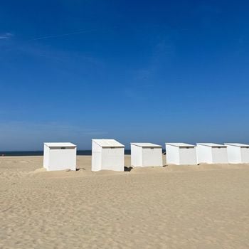 Vakantie met hond in België