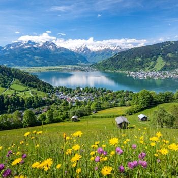 Vakantie met hond in Oostenrijk