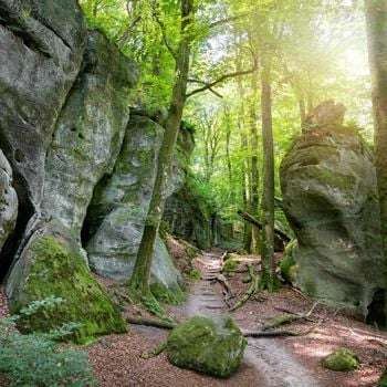 Vakantie met hond in Luxemburg
