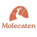 Molecaten