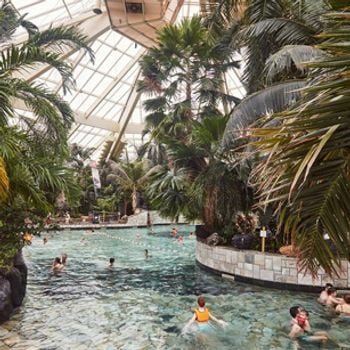 Vakantiepark met zwemparadijs